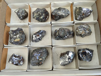 Natural Silver Lead Galena Specimens x 12 From Kaokoveld, Namibia