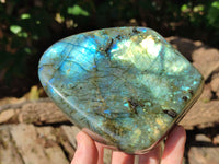 Polished Labradorite Standing Free Forms x 2 From Tulear, Madagascar - Toprock Gemstones and Minerals 