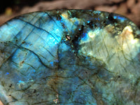 Polished Labradorite Standing Free Forms x 2 From Tulear, Madagascar - Toprock Gemstones and Minerals 