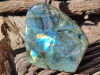 Polished Labradorite Standing Free Forms x 2 From Tulear, Madagascar - Toprock Gemstones and Minerals 