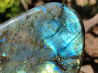 Polished Labradorite Standing Free Forms x 2 From Tulear, Madagascar - Toprock Gemstones and Minerals 