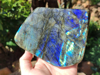 Polished Labradorite Standing Free Forms x 2 From Tulear, Madagascar - Toprock Gemstones and Minerals 