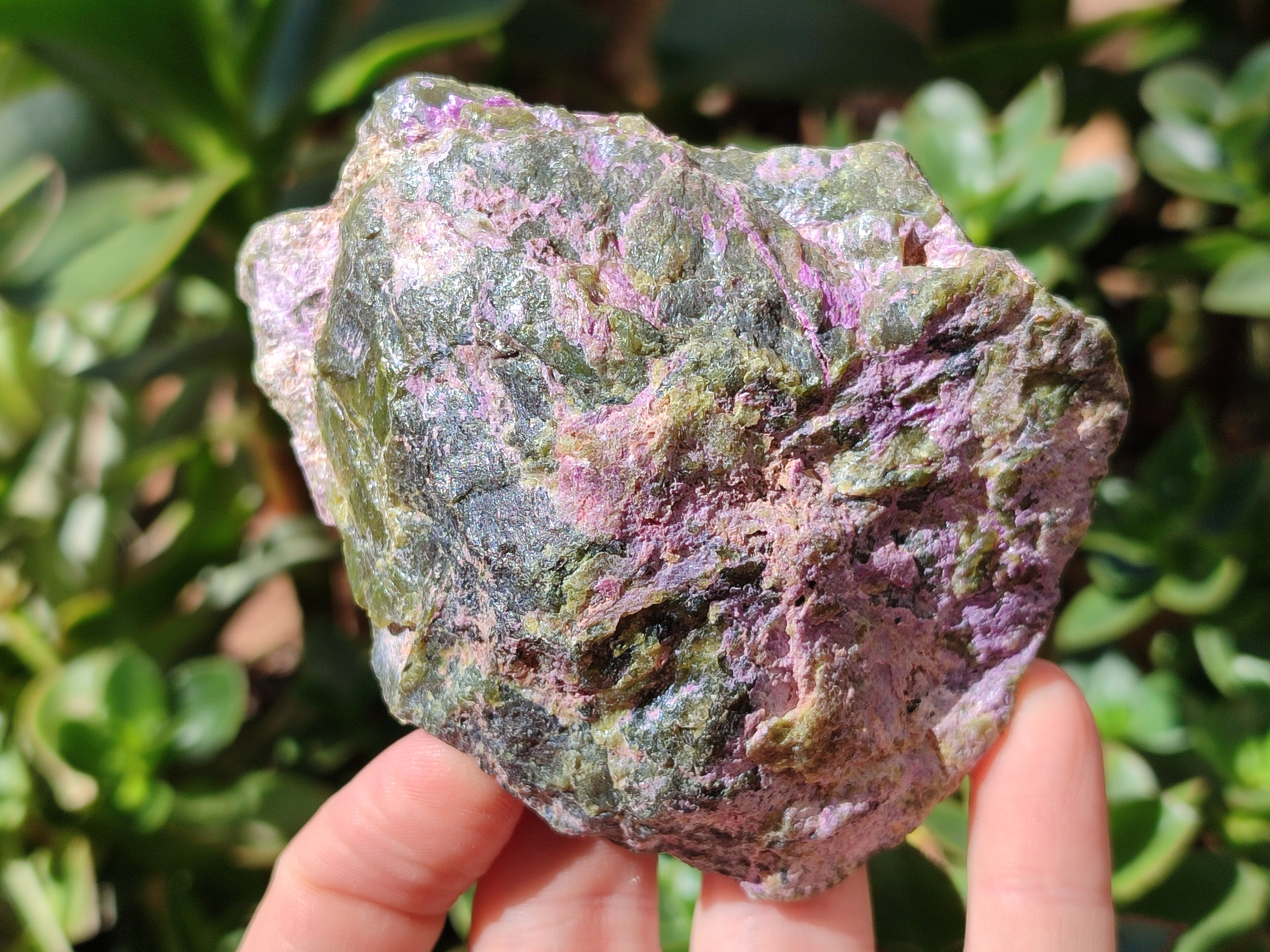 Natural Stichtite Cobbed Specimens x 12 From Barberton, South Africa - Toprock Gemstones and Minerals 