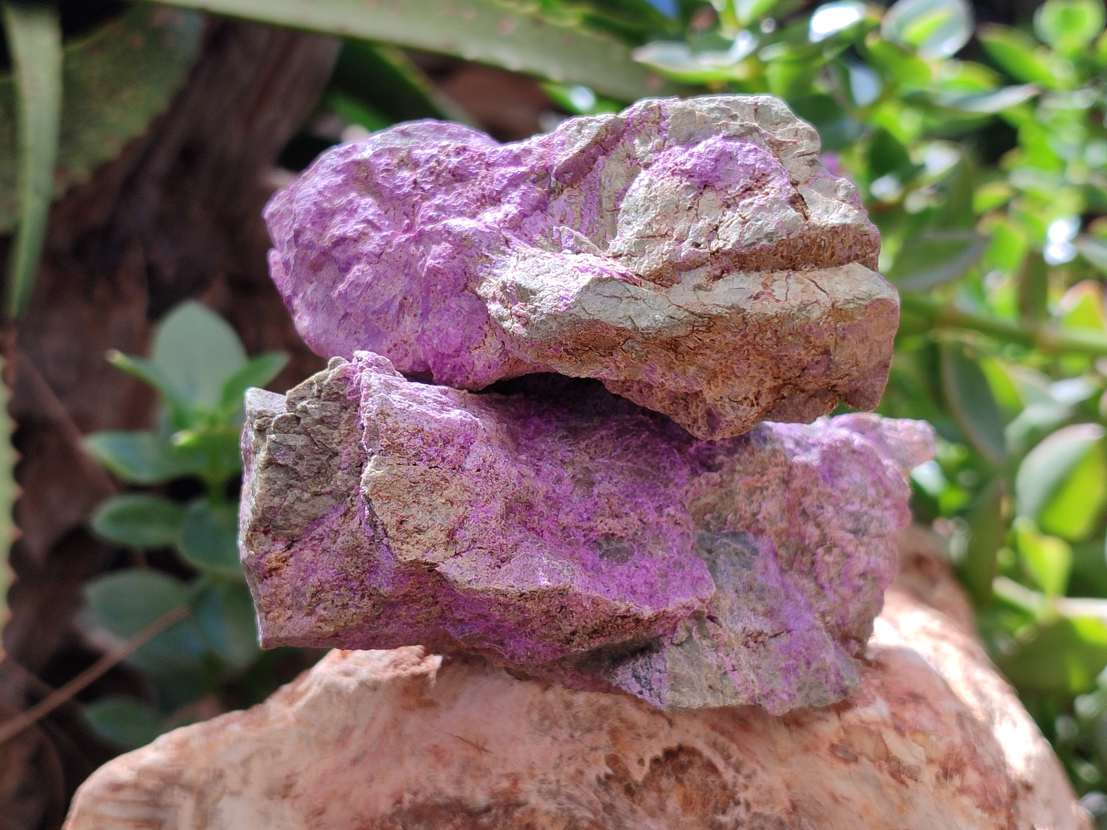 Natural Stichtite Cobbed Specimens x 12 From Barberton, South Africa - Toprock Gemstones and Minerals 