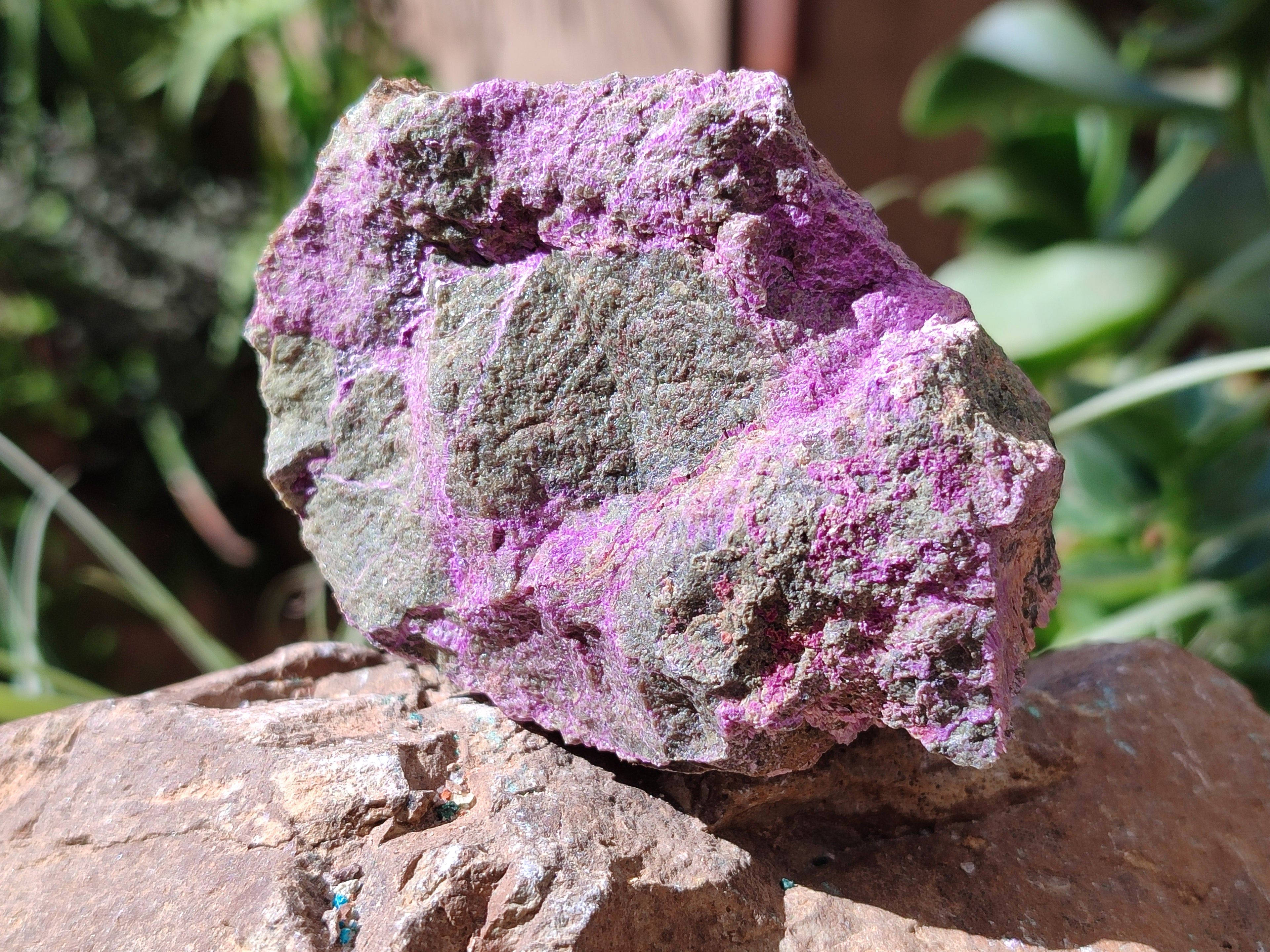 Natural Stichtite Cobbed Specimens x 12 From Barberton, South Africa - Toprock Gemstones and Minerals 