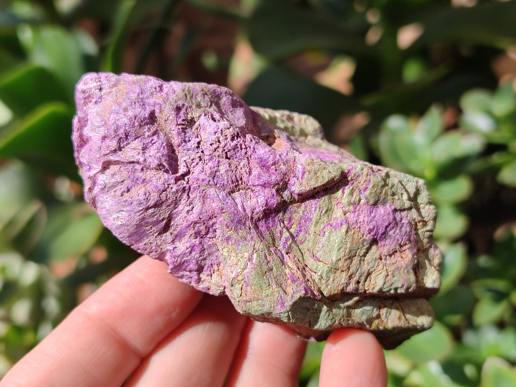Natural Stichtite Cobbed Specimens x 12 From Barberton, South Africa - Toprock Gemstones and Minerals 