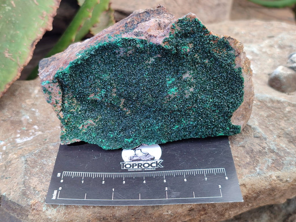 Natural Botryoidal Malachite Specimens x 6 From Tenke Fungurume, Congo - Toprock Gemstones and Minerals 