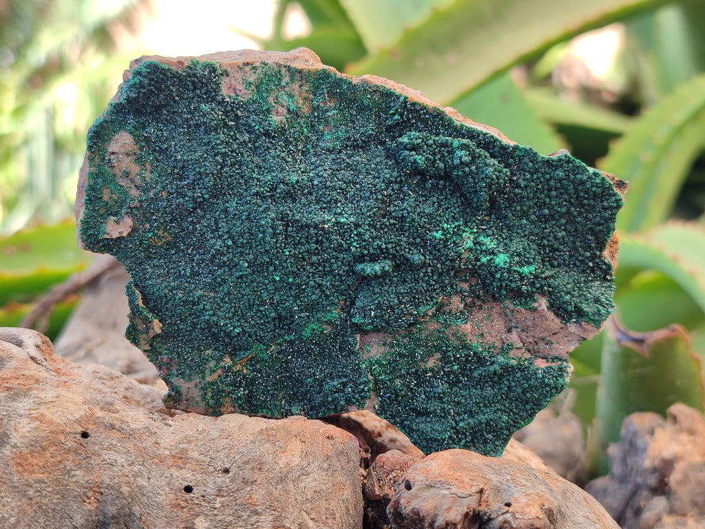 Natural Botryoidal Malachite Specimens x 6 From Tenke Fungurume, Congo - Toprock Gemstones and Minerals 