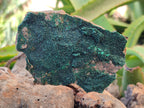 Natural Botryoidal Malachite Specimens x 6 From Tenke Fungurume, Congo - Toprock Gemstones and Minerals 