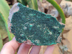 Natural Botryoidal Malachite Specimens x 6 From Tenke Fungurume, Congo - Toprock Gemstones and Minerals 