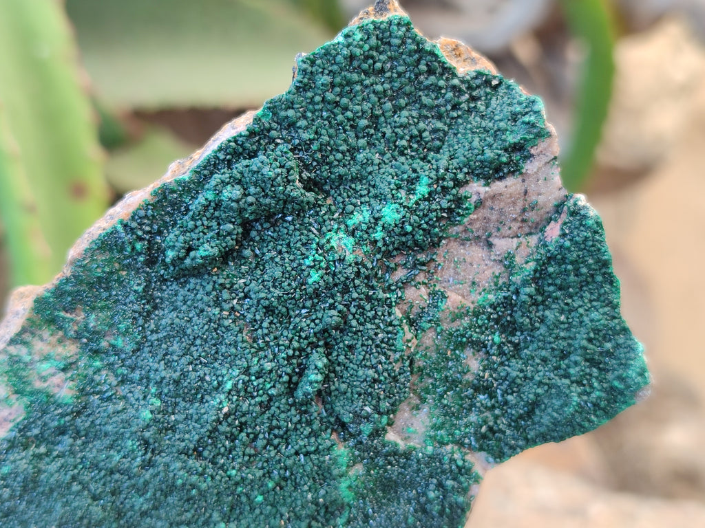Natural Botryoidal Malachite Specimens x 6 From Tenke Fungurume, Congo - Toprock Gemstones and Minerals 