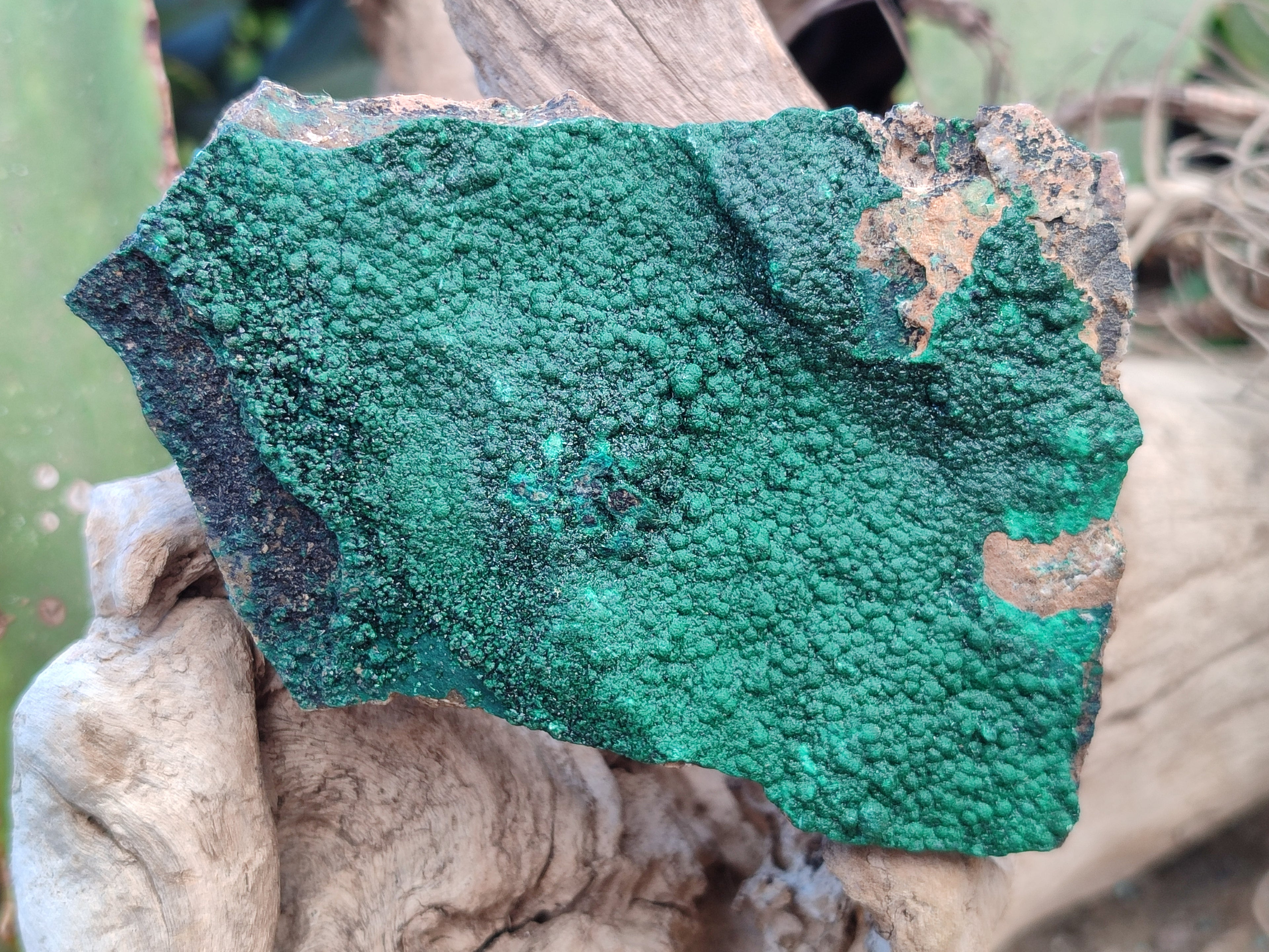 Natural Botryoidal Malachite Specimens x 6 From Tenke Fungurume, Congo - Toprock Gemstones and Minerals 