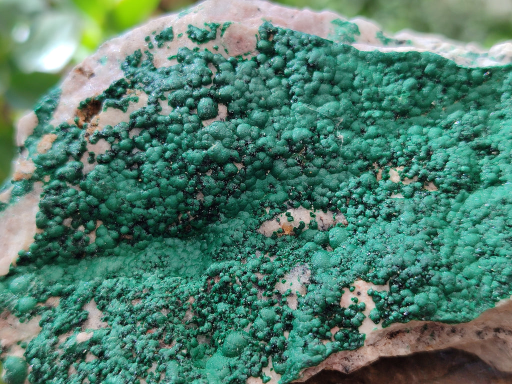 Natural Botryoidal Malachite Specimens x 6 From Tenke Fungurume, Congo - Toprock Gemstones and Minerals 