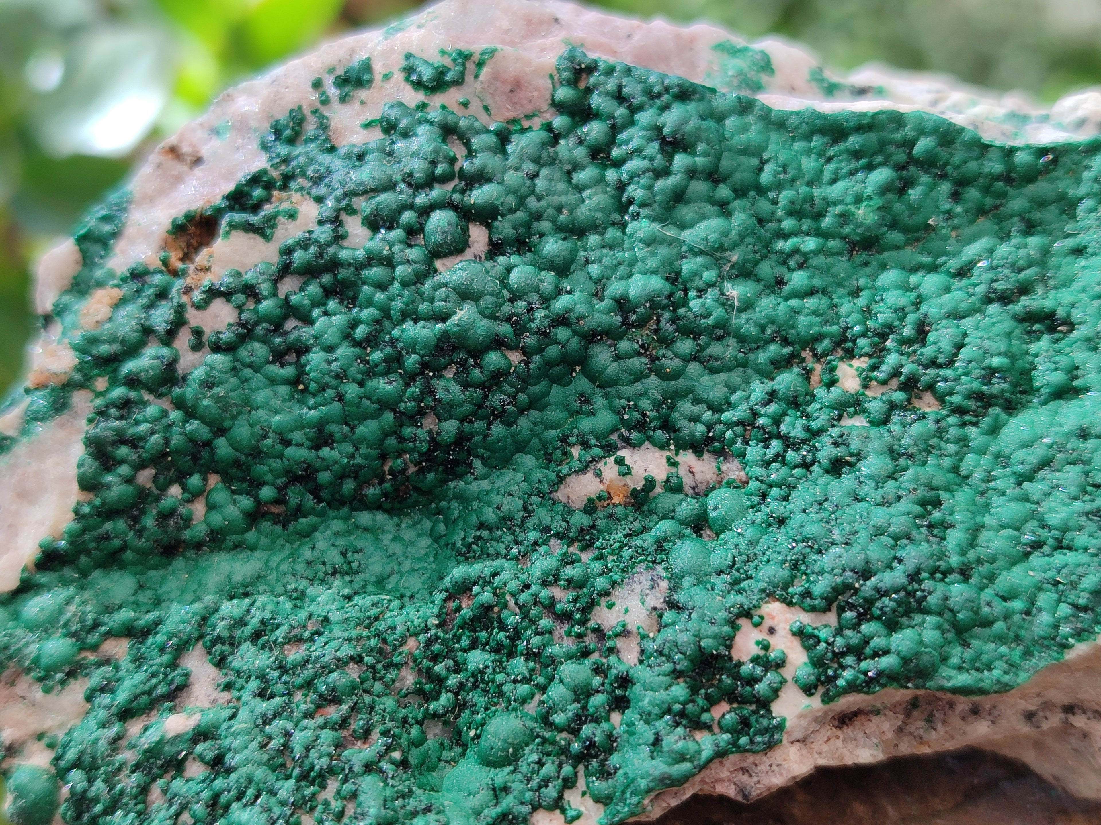 Natural Botryoidal Malachite Specimens x 6 From Tenke Fungurume, Congo - Toprock Gemstones and Minerals 
