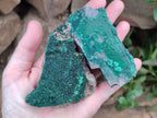 Natural Botryoidal Malachite Specimens x 6 From Tenke Fungurume, Congo - Toprock Gemstones and Minerals 
