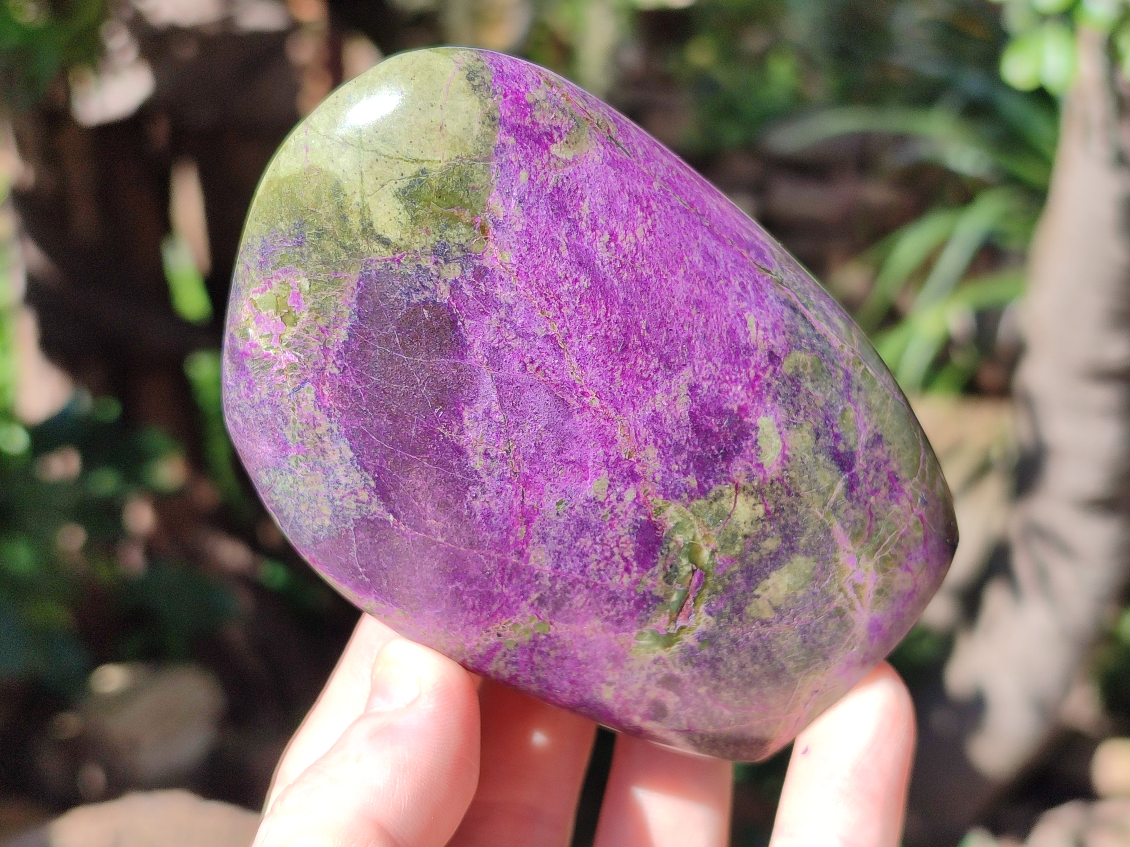 Polished Stichtite Standing Free Forms x 4 From Barberton, South Africa - Toprock Gemstones and Minerals 