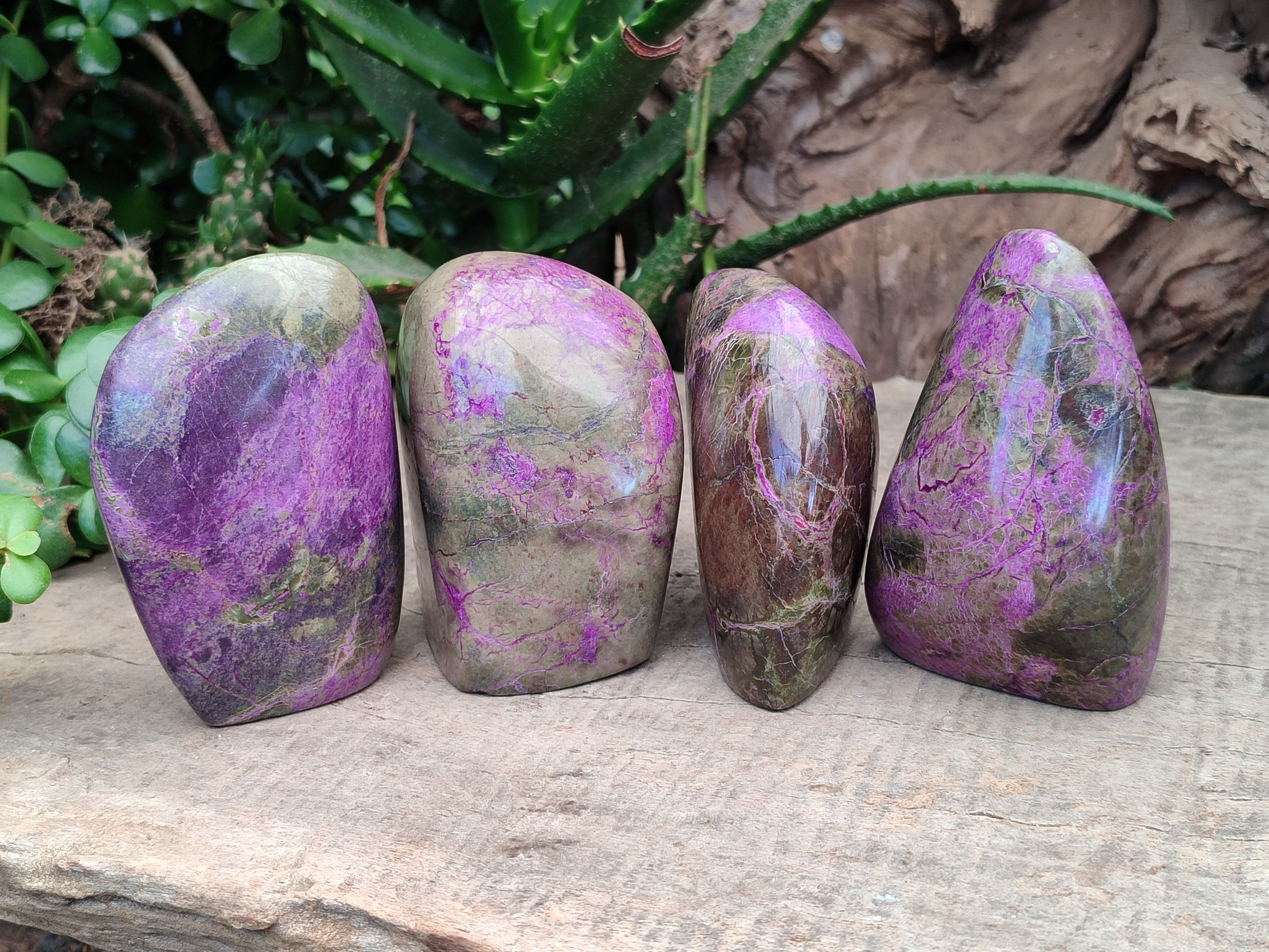 Polished Stichtite Standing Free Forms x 4 From Barberton, South Africa - Toprock Gemstones and Minerals 
