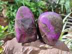 Polished Stichtite Standing Free Forms x 4 From Barberton, South Africa - Toprock Gemstones and Minerals 