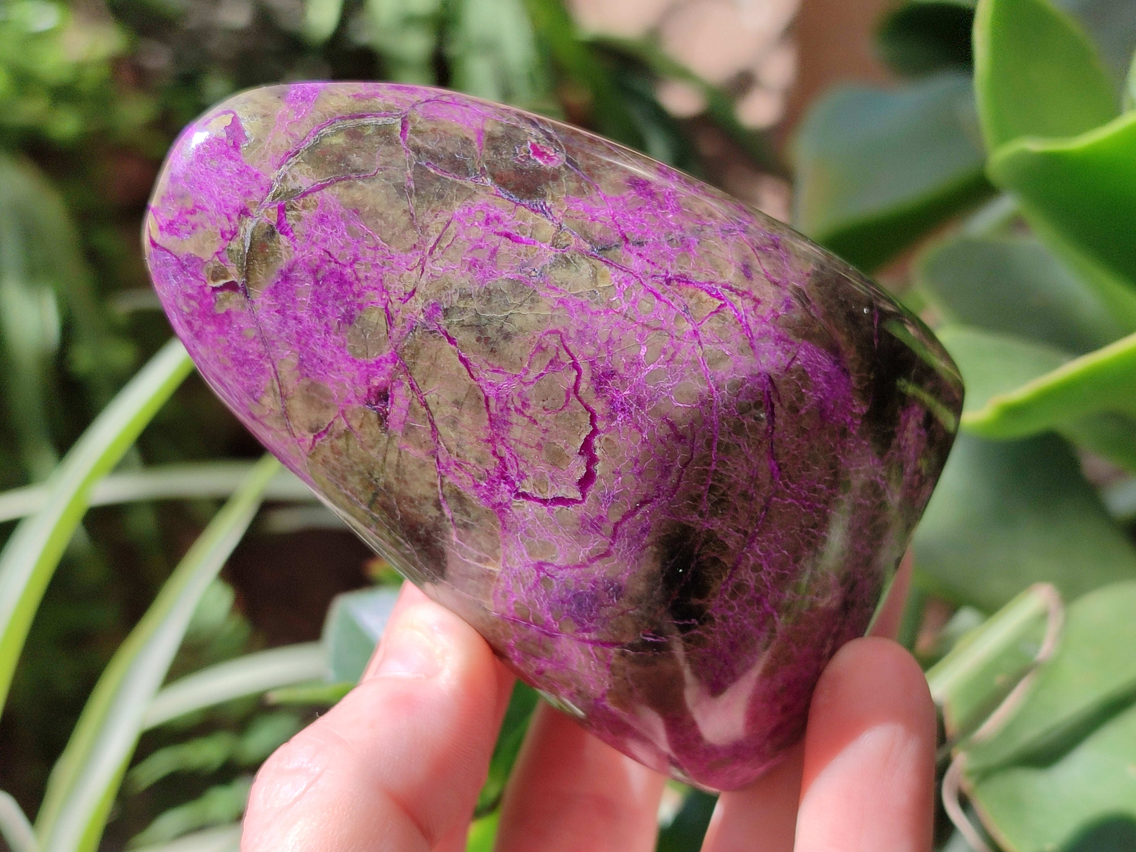 Polished Stichtite Standing Free Forms x 4 From Barberton, South Africa - Toprock Gemstones and Minerals 