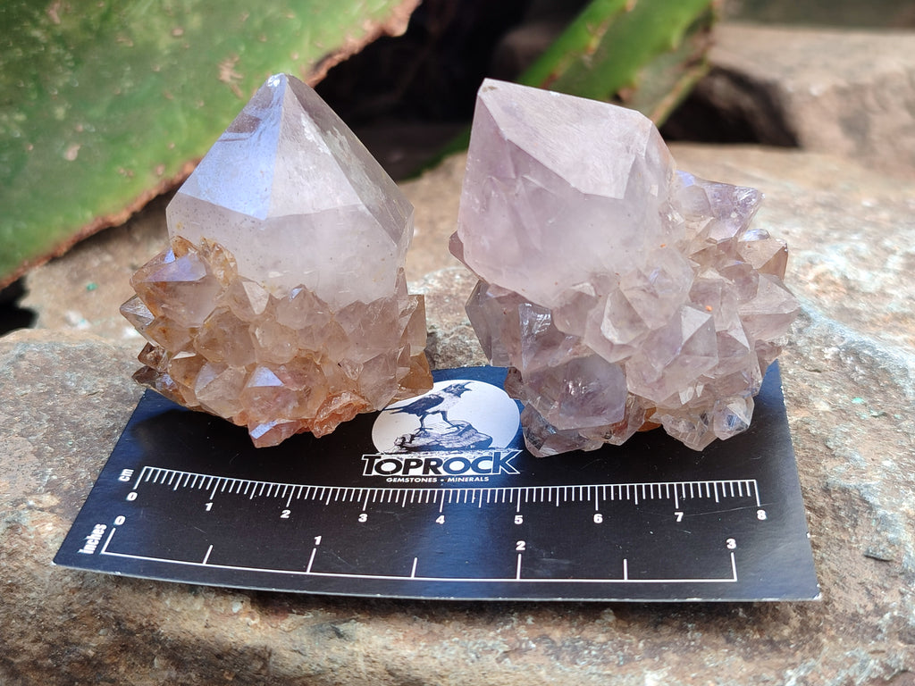 Natural Amethyst Spirit Quartz Crystals x 12 From Boekenhouthoek, South Africa - Toprock Gemstones and Minerals 