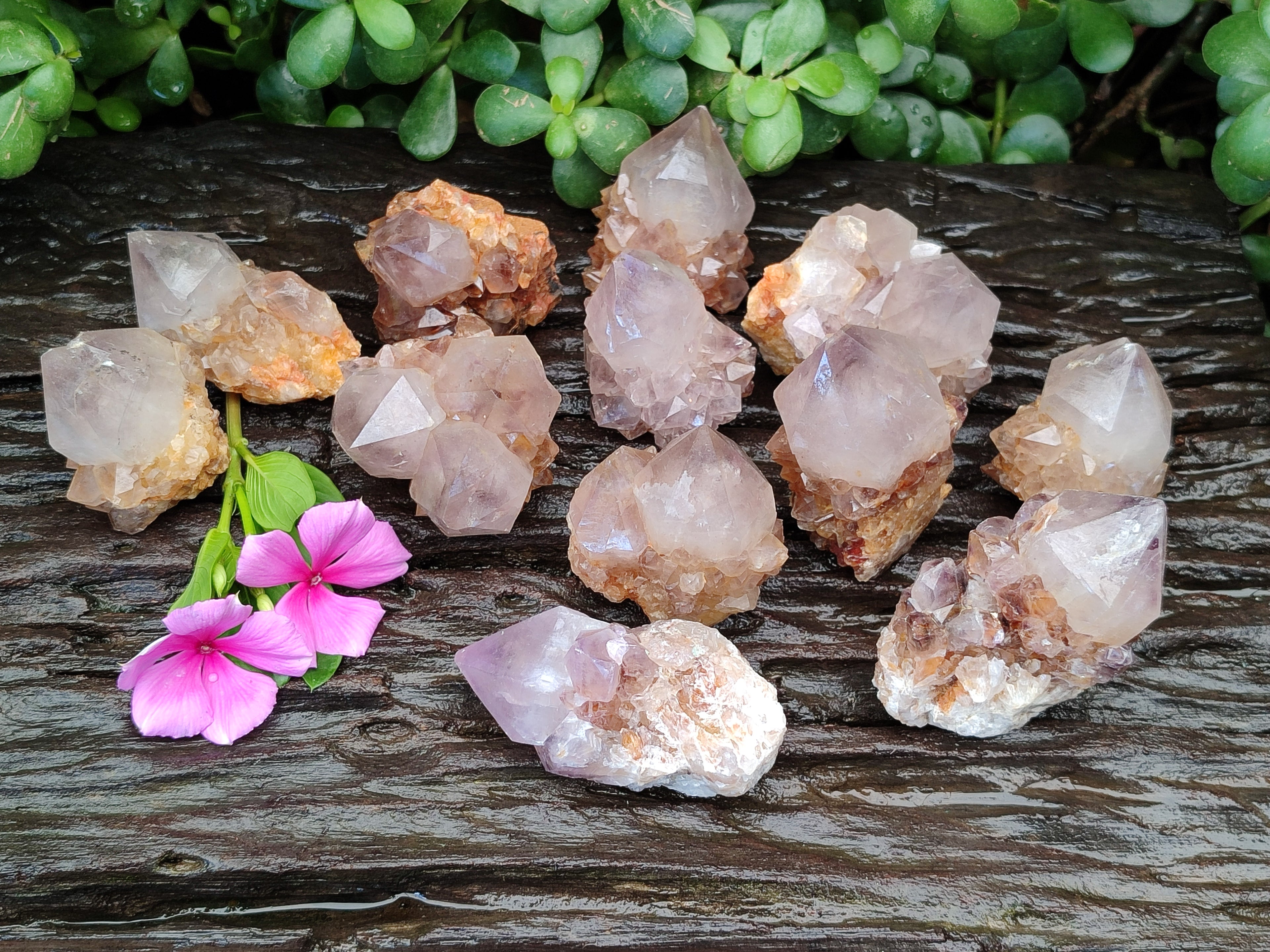 Natural Amethyst Spirit Quartz Crystals x 12 From Boekenhouthoek, South Africa - Toprock Gemstones and Minerals 