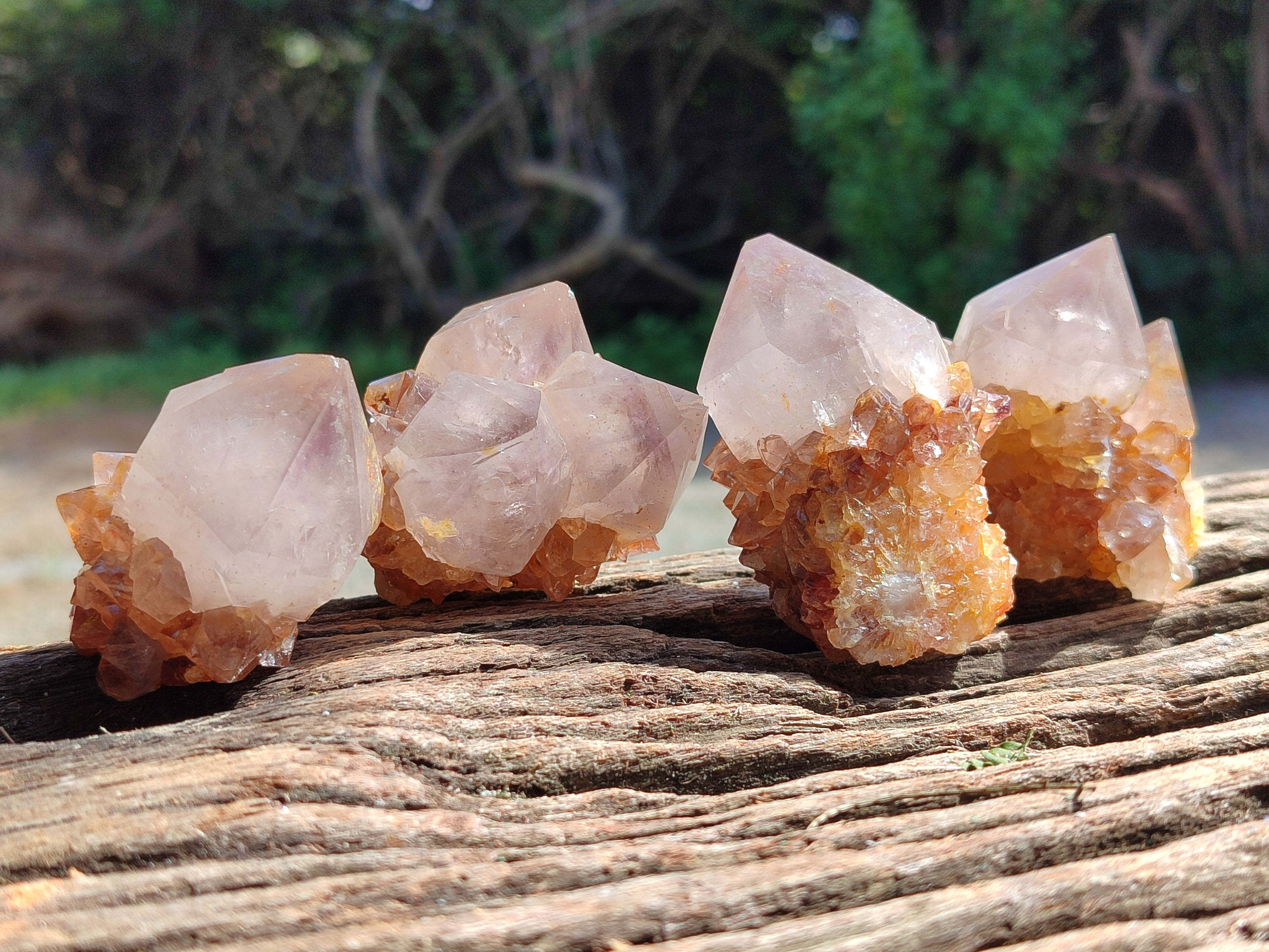 Natural Amethyst Spirit Quartz Crystals x 12 From Boekenhouthoek, South Africa - Toprock Gemstones and Minerals 