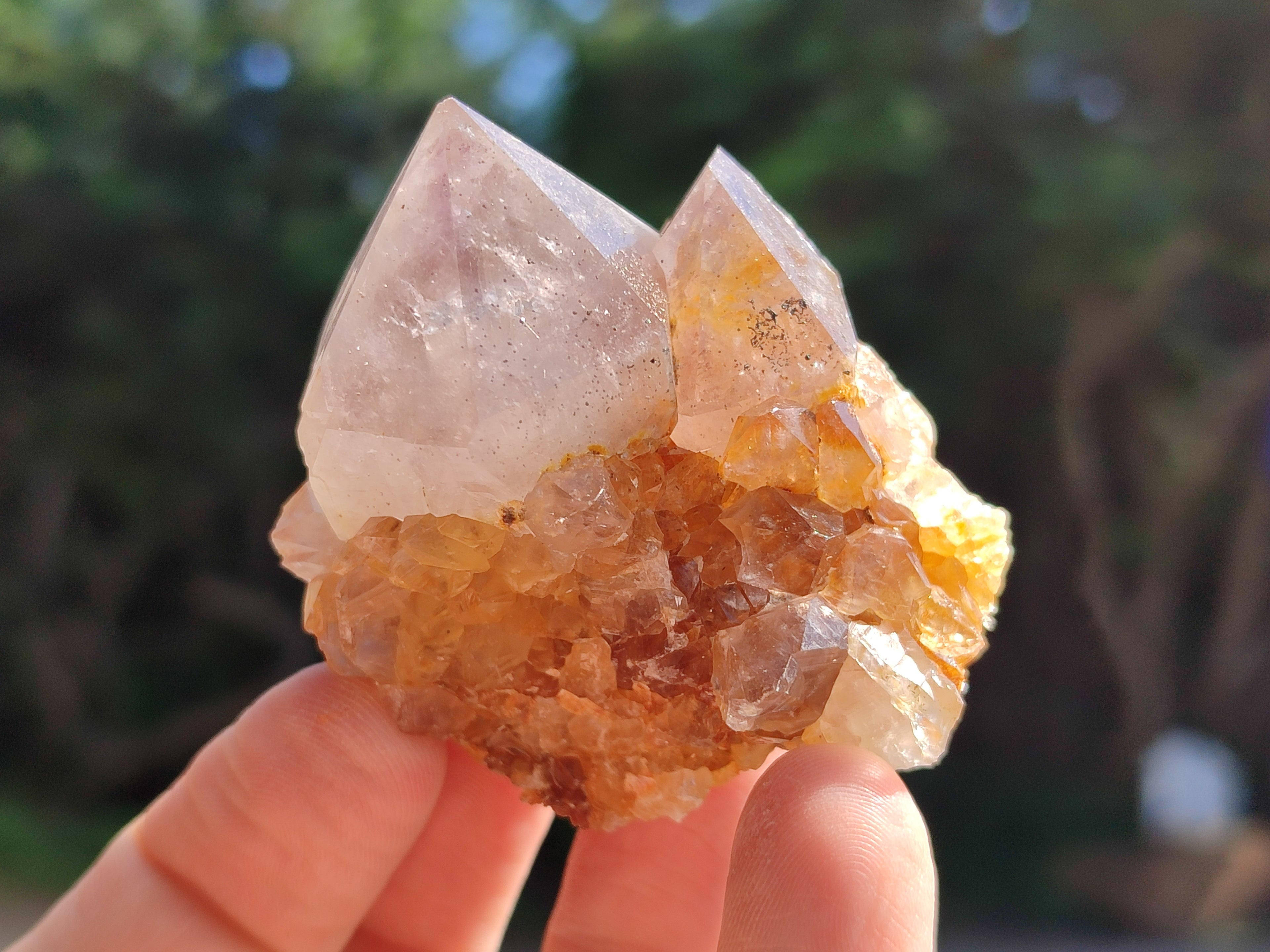 Natural Amethyst Spirit Quartz Crystals x 12 From Boekenhouthoek, South Africa - Toprock Gemstones and Minerals 