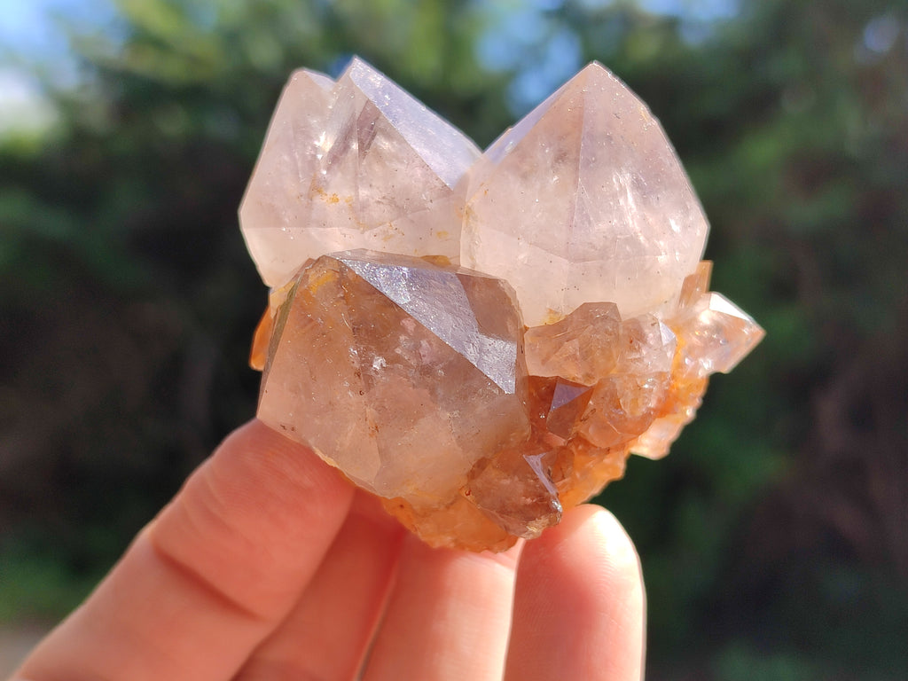 Natural Amethyst Spirit Quartz Crystals x 12 From Boekenhouthoek, South Africa - Toprock Gemstones and Minerals 