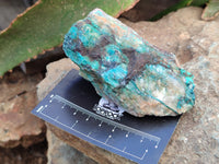 Natural Shattuckite with Chrysocolla and Malachite x 12 From Kaokoveld, Namibia - Toprock Gemstones and Minerals 