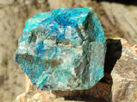 Natural Shattuckite with Chrysocolla and Malachite x 12 From Kaokoveld, Namibia - Toprock Gemstones and Minerals 