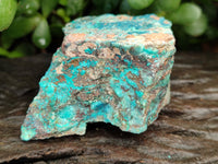 Natural Shattuckite with Chrysocolla and Malachite x 12 From Kaokoveld, Namibia - Toprock Gemstones and Minerals 