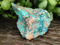 Natural Shattuckite with Chrysocolla and Malachite x 12 From Kaokoveld, Namibia - Toprock Gemstones and Minerals 