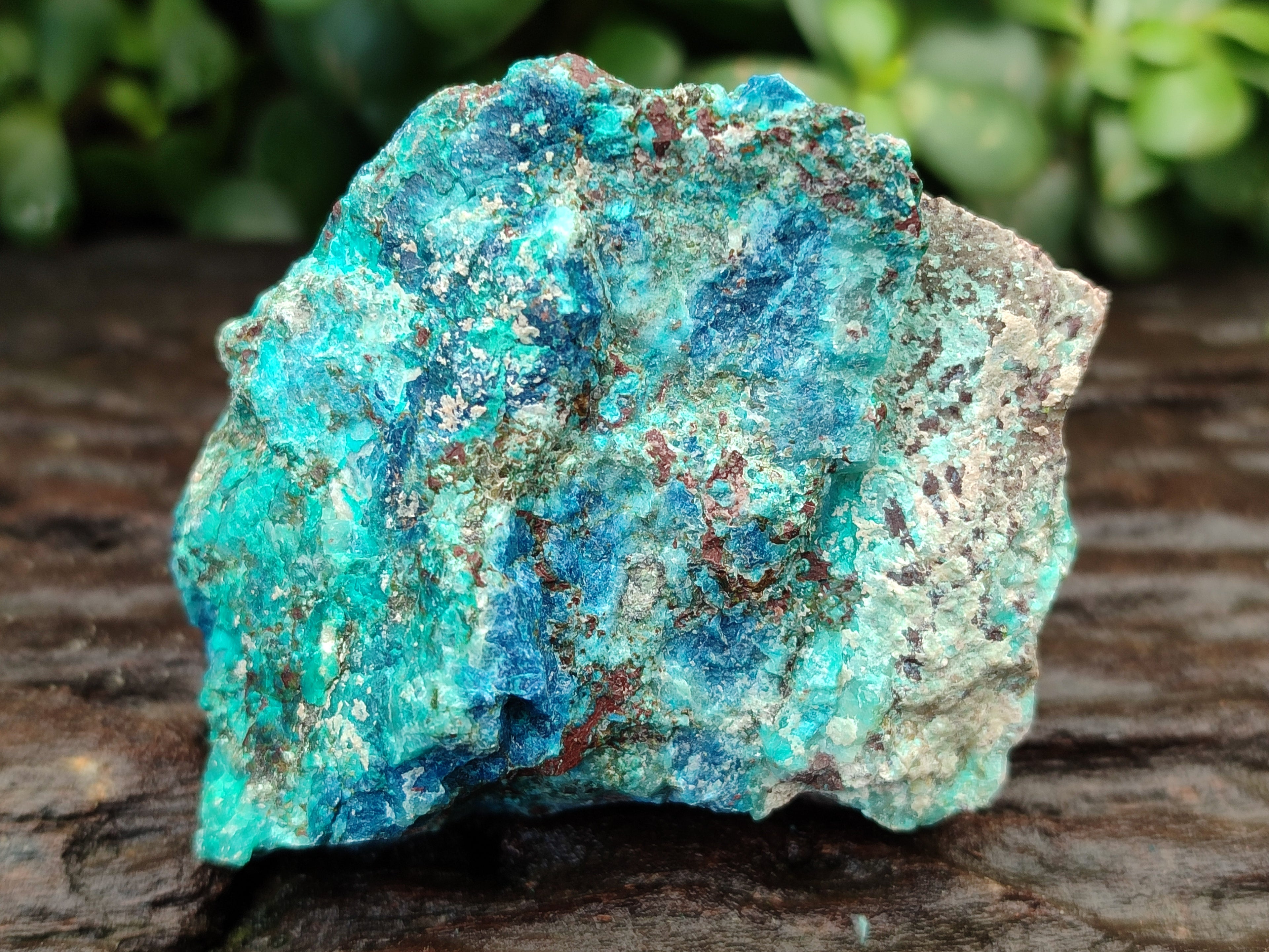 Natural Shattuckite with Chrysocolla and Malachite x 12 From Kaokoveld, Namibia - Toprock Gemstones and Minerals 