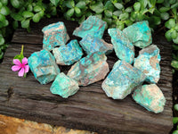 Natural Shattuckite with Chrysocolla and Malachite x 12 From Kaokoveld, Namibia - Toprock Gemstones and Minerals 