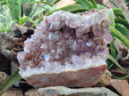 Natural Jacaranda Amethyst Quartz Cluster x 1 From Mumbwa, Zambia - Toprock Gemstones and Minerals 