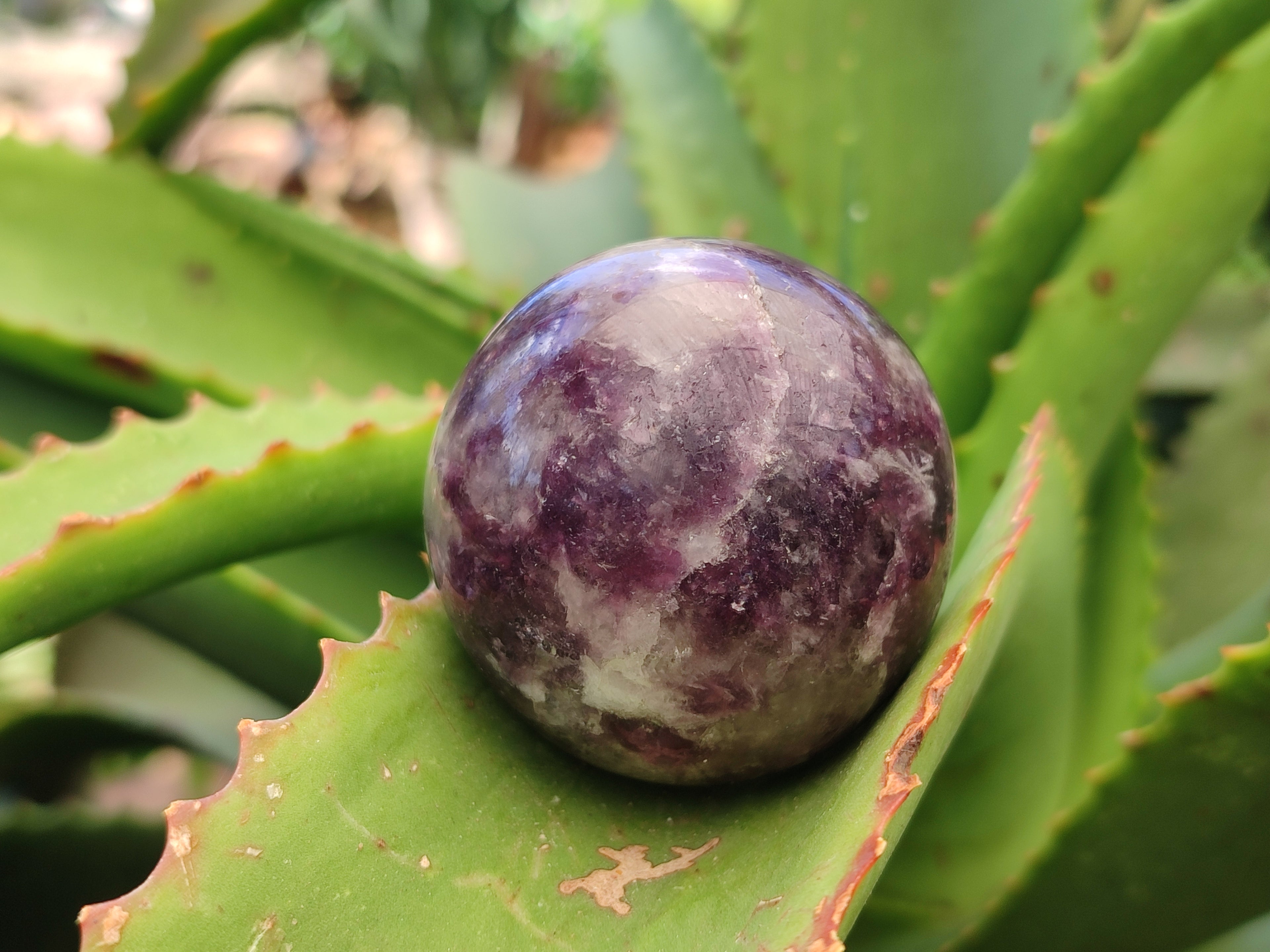 Polished Lepidolite with Pink Rubellite Spheres x 6 From Ambatondrazaka, Madagascar - Toprock Gemstones and Minerals 