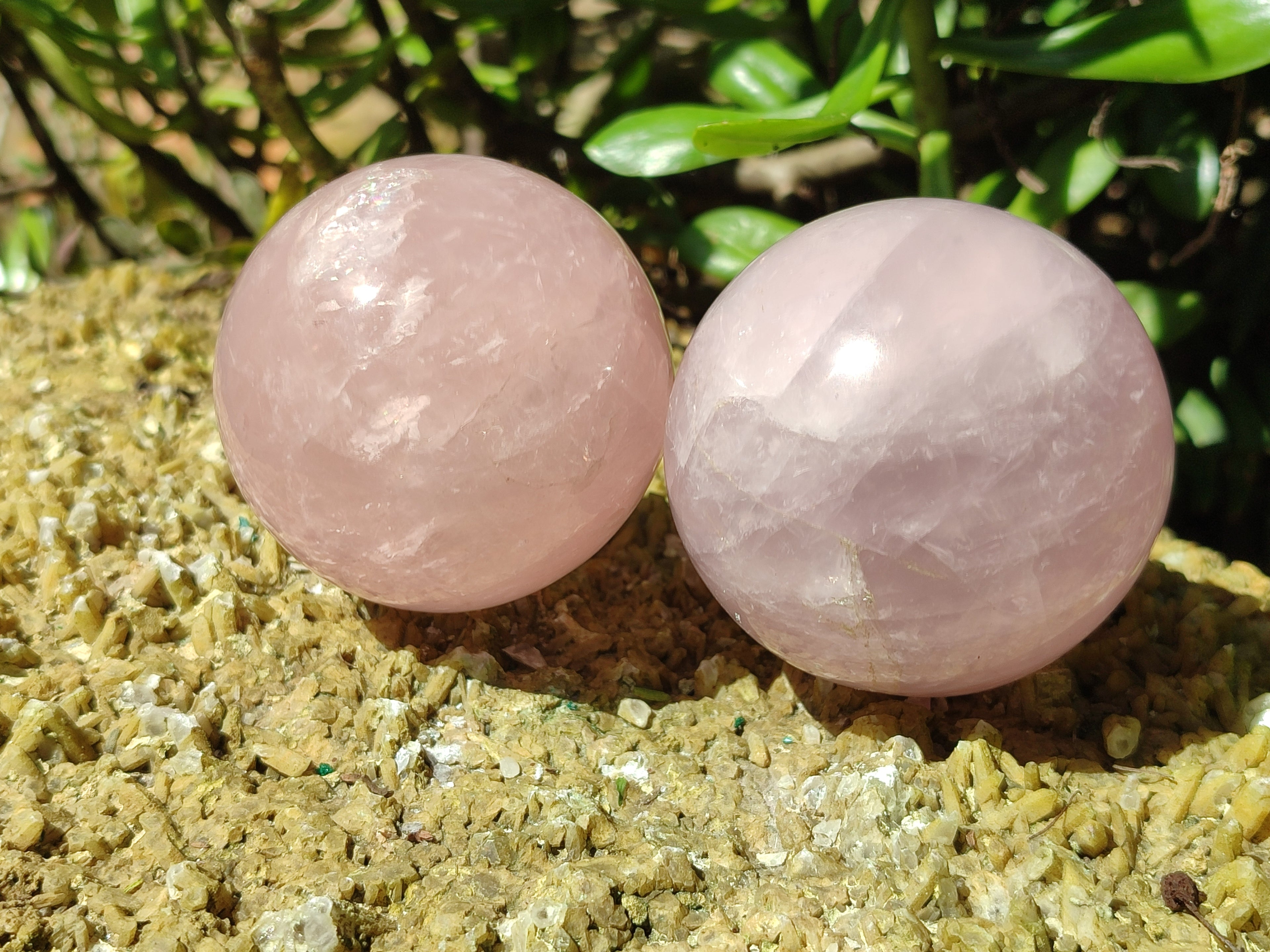Polished Rose Quartz Spheres x 4 From Ambatondrazaka, Madagascar - Toprock Gemstones and Minerals 
