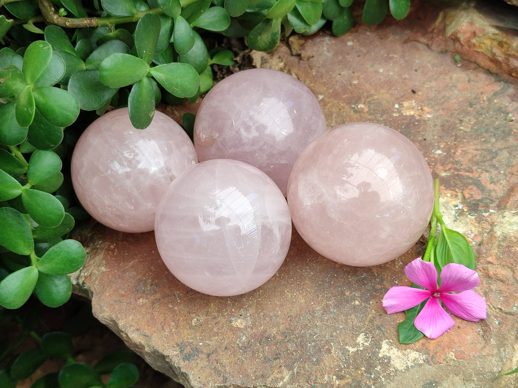 Polished Rose Quartz Spheres x 4 From Ambatondrazaka, Madagascar - Toprock Gemstones and Minerals 