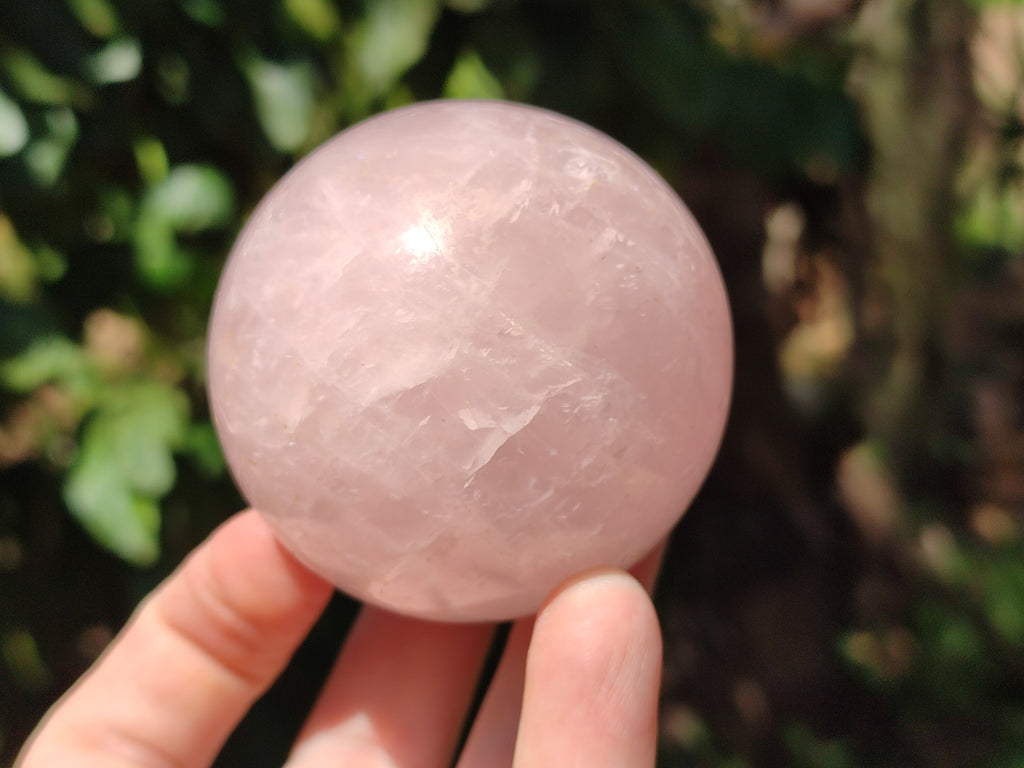 Polished Rose Quartz Spheres x 4 From Ambatondrazaka, Madagascar - Toprock Gemstones and Minerals 