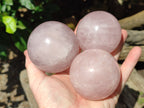 Polished Rose Quartz Spheres x 4 From Ambatondrazaka, Madagascar - Toprock Gemstones and Minerals 