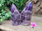 Polished Chevron Amethyst Point x 2 From Zambia - Toprock Gemstones and Minerals 