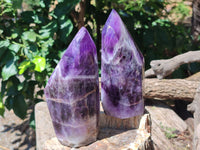 Polished Chevron Amethyst Point x 2 From Zambia