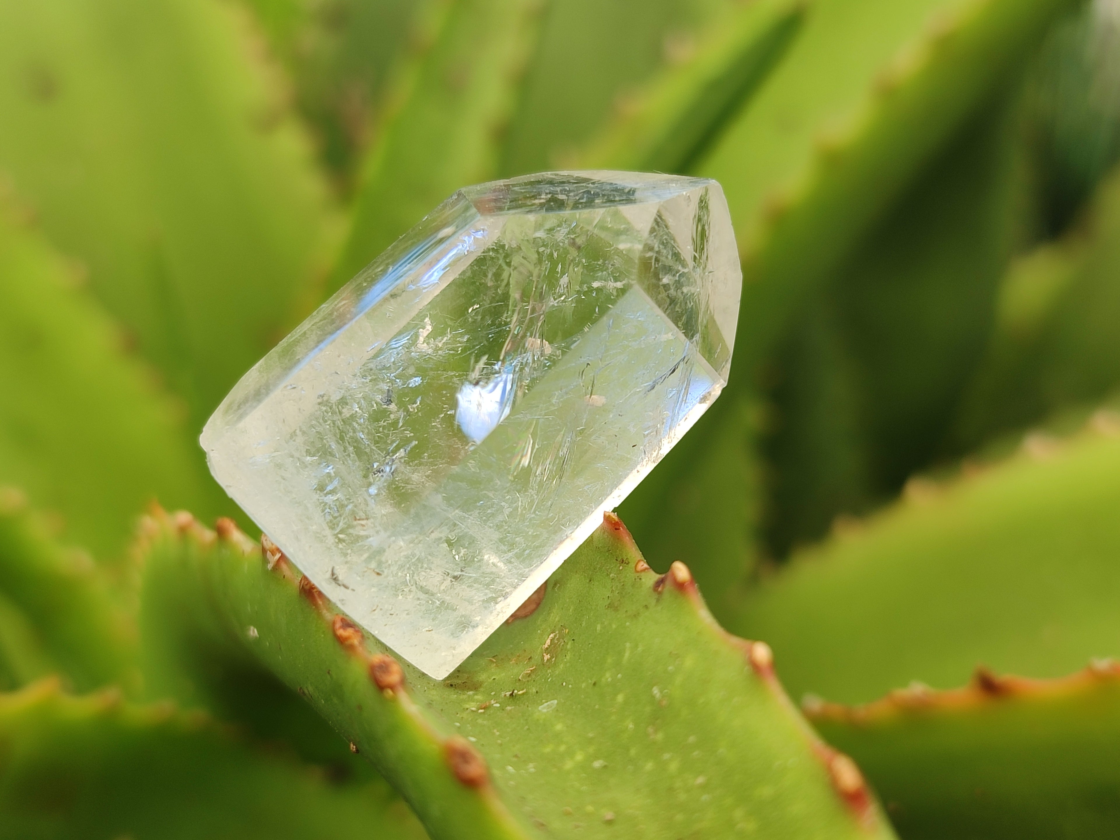 Polished Smokey Quartz Crystals x 70 From Madagascar - Toprock Gemstones and Minerals 