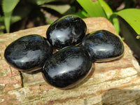 Polished Black Tourmaline Palm Stones x 16 From Madagascar - Toprock Gemstones and Minerals 