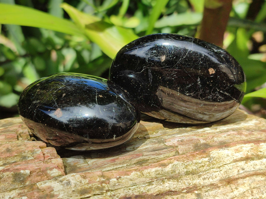 Polished Black Tourmaline Palm Stones x 16 From Madagascar - Toprock Gemstones and Minerals 