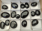 Polished Black Tourmaline Palm Stones x 16 From Madagascar - Toprock Gemstones and Minerals 