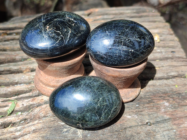 Polished Black Tourmaline Palm Stones x 16 From Madagascar - Toprock Gemstones and Minerals 