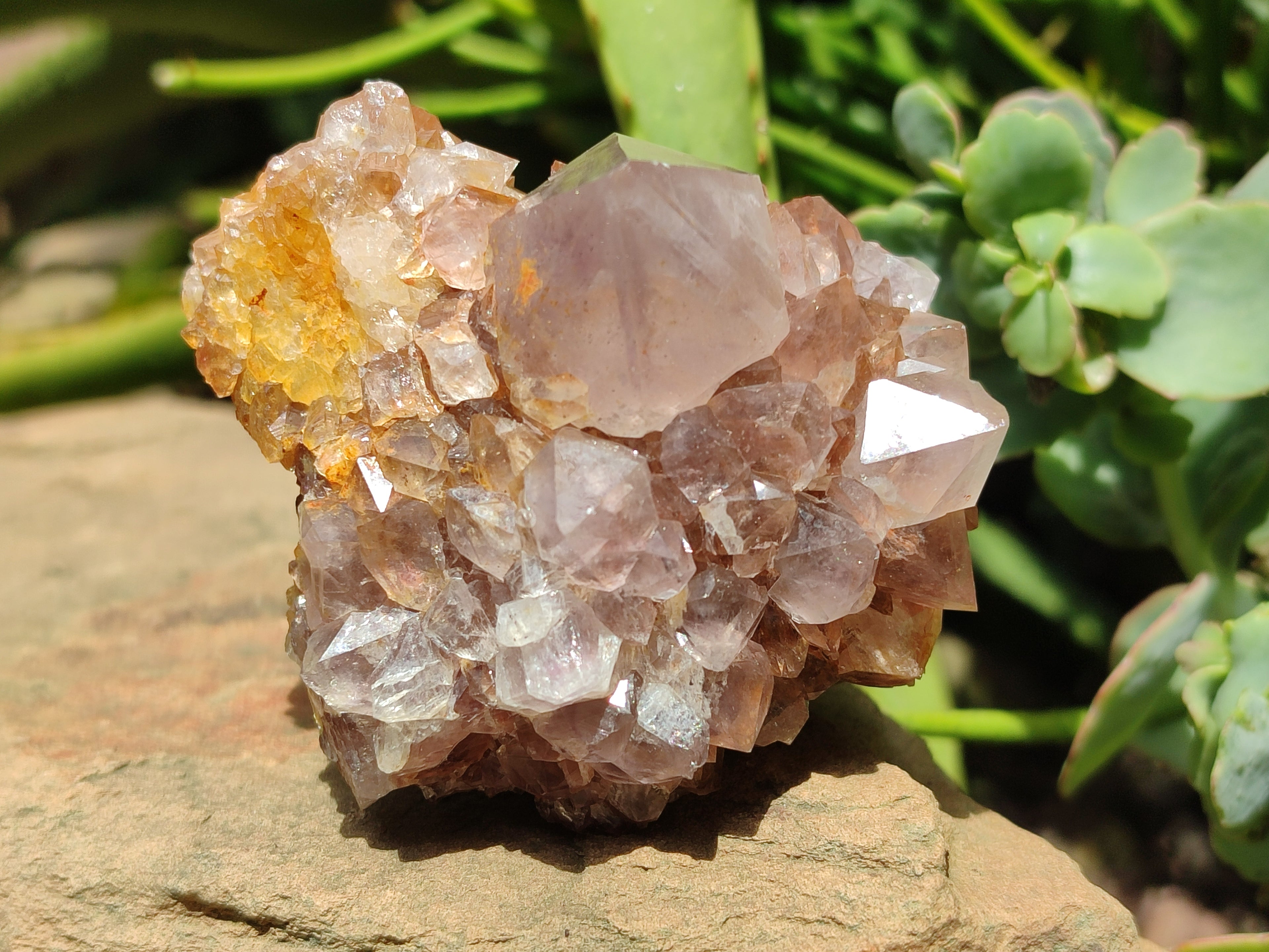 Natural Dark Amethyst Spirit Quartz Clusters x 6 From Boekenhouthoek, South Africa - Toprock Gemstones and Minerals 