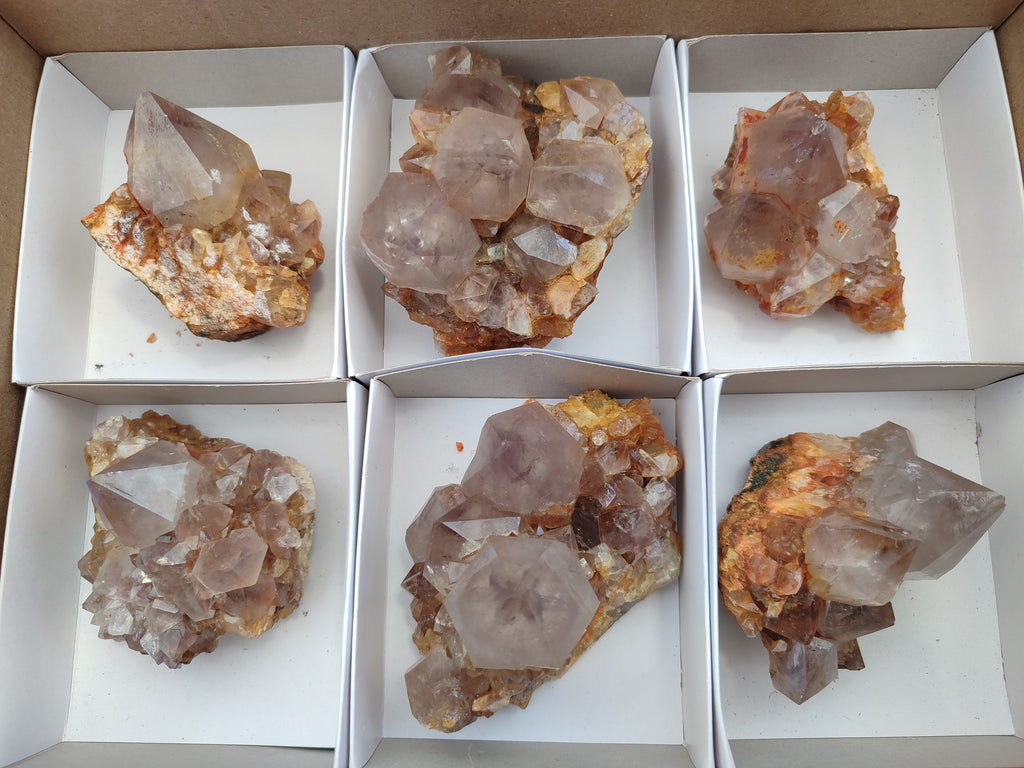 Natural Dark Amethyst Spirit Quartz Clusters x 6 From Boekenhouthoek, South Africa - Toprock Gemstones and Minerals 