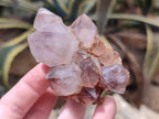 Natural Dark Amethyst Spirit Quartz Clusters x 6 From Boekenhouthoek, South Africa - Toprock Gemstones and Minerals 
